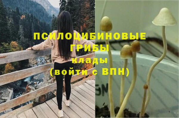 молекула духа Армянск