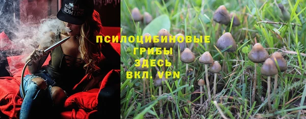 стаф Баксан