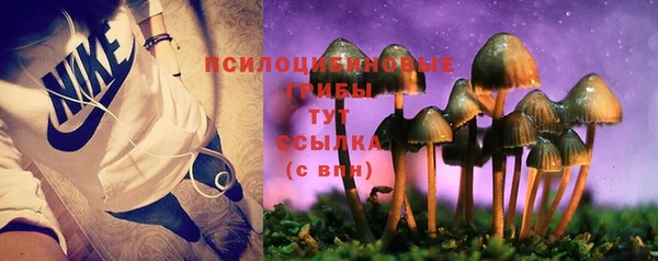 спайс Арсеньев