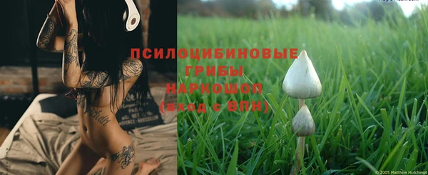 стаф Баксан