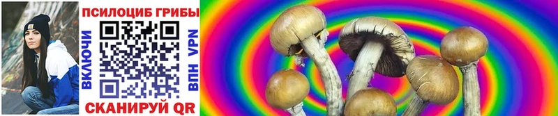 Псилоцибиновые грибы ЛСД  OMG ССЫЛКА  Ульяновск 